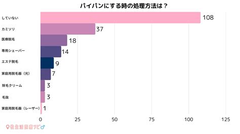 パイパン と は